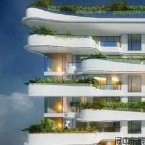 三年级主题6 住在家乡--现在城市住房