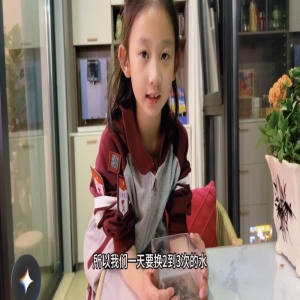 二(12)班 周卓尔 水培睡莲