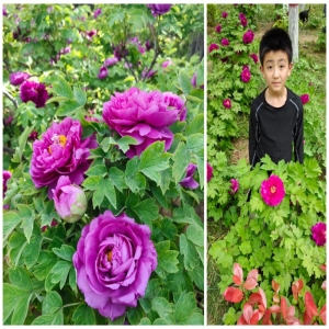 二年级11班何泓玮