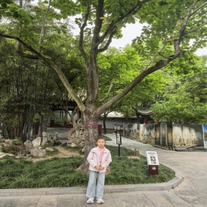 一年级12班岳梓汐观察旱莲