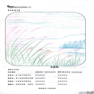 二年级5班张璐鲲芦苇的秘密