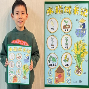 二 12 班 谭博元～水稻成长记