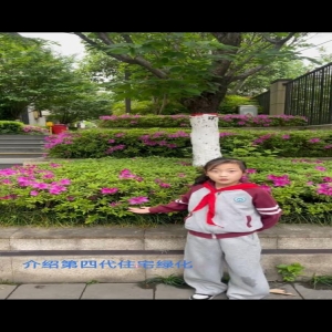 探寻第四代住宅